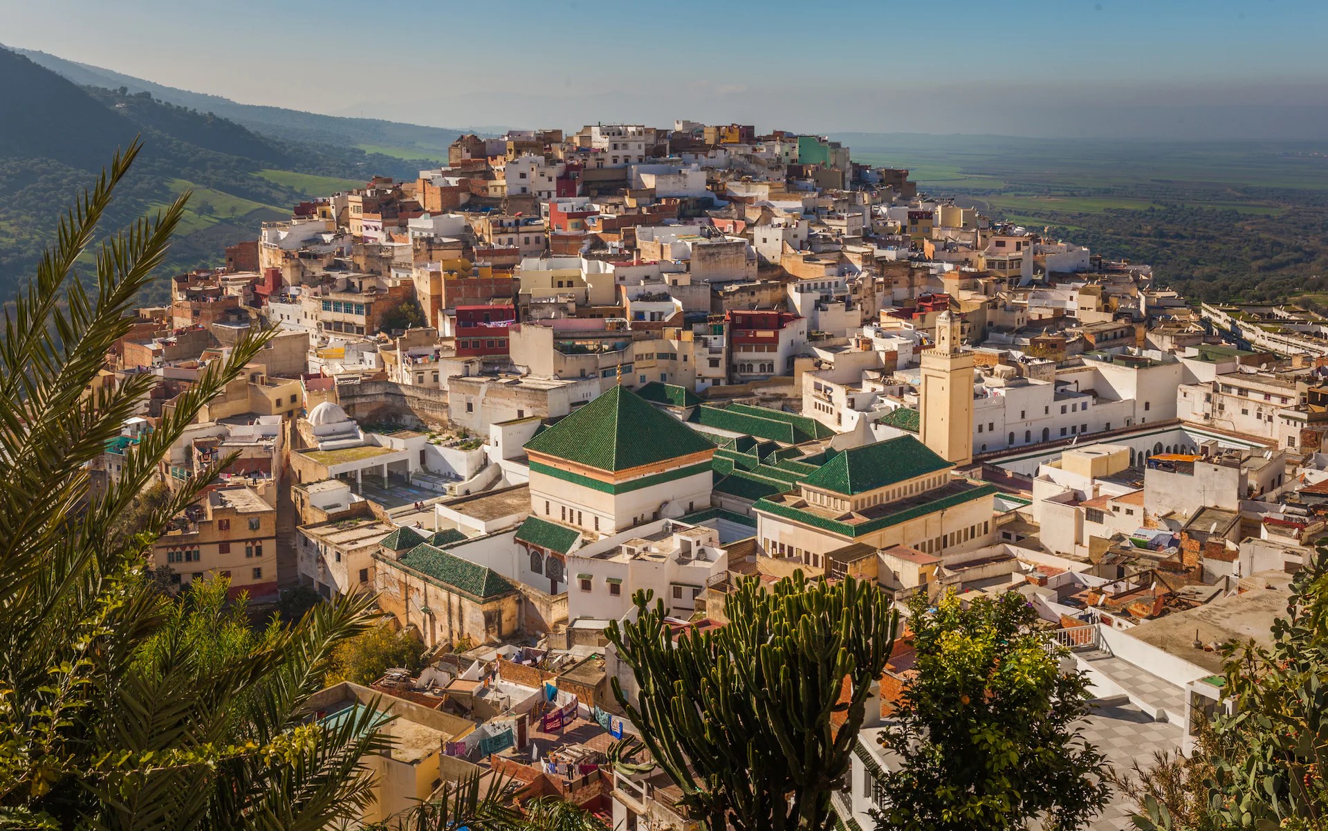 Mpulay Idriss Zerhoune