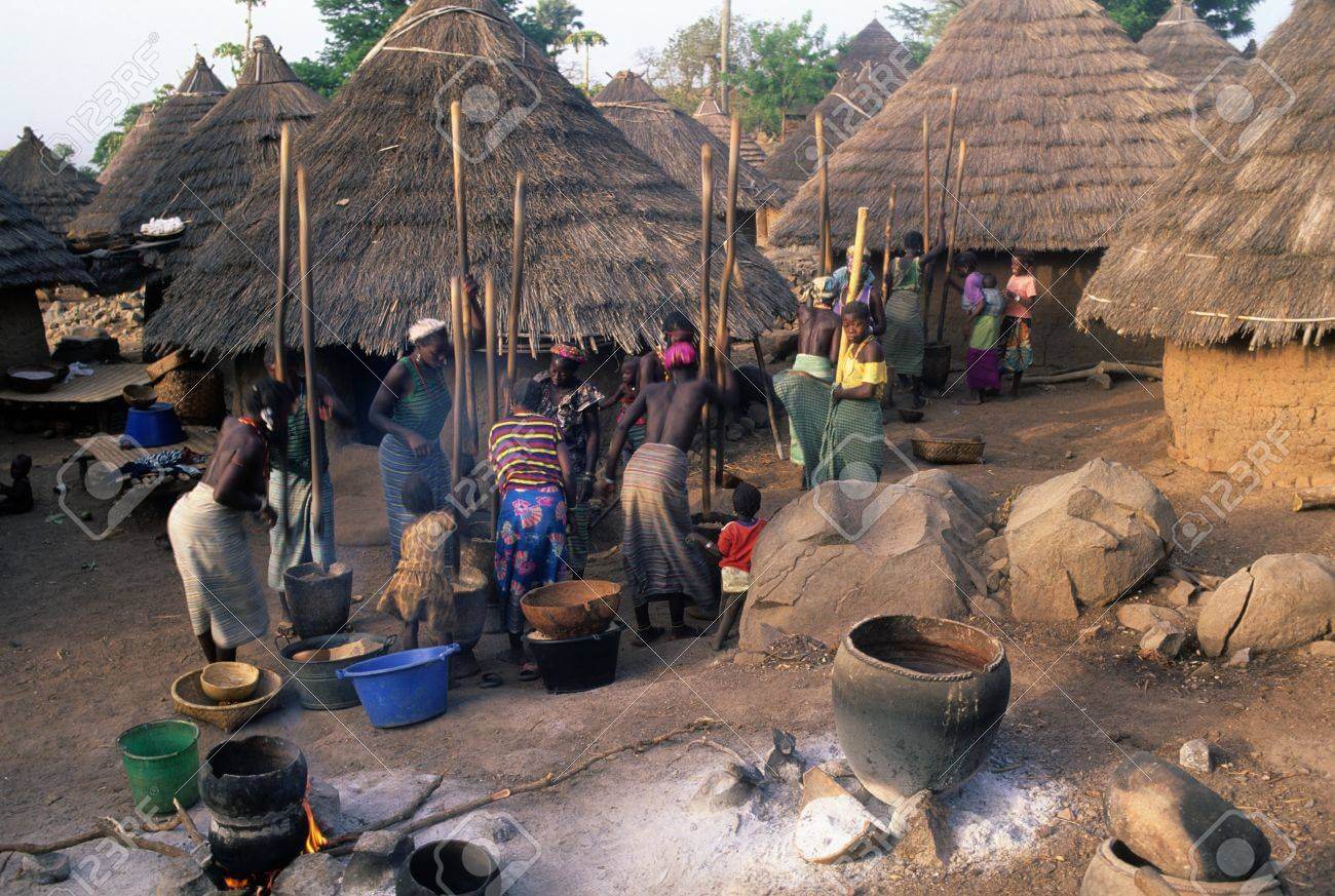 Agri travel in Africa