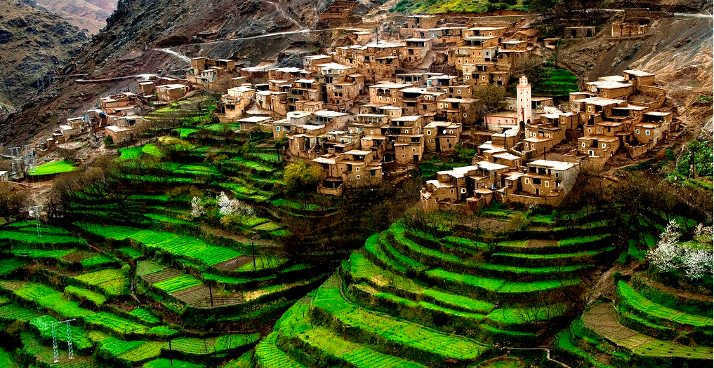traditional agriculture in Morocco