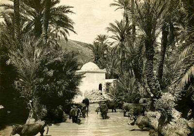 Sidi Hrazem  Sufi saint of Fez