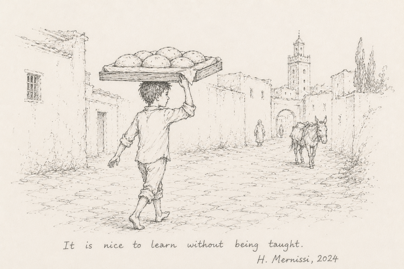 The best book about Fez and Morocco